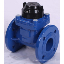 Removable Horizontal Woltman Water Meter (sc10003)